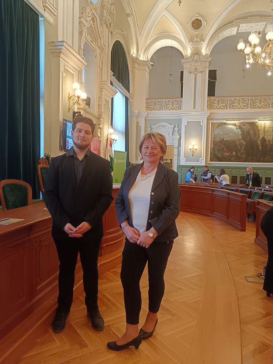 Rudnays arany a Helikonon